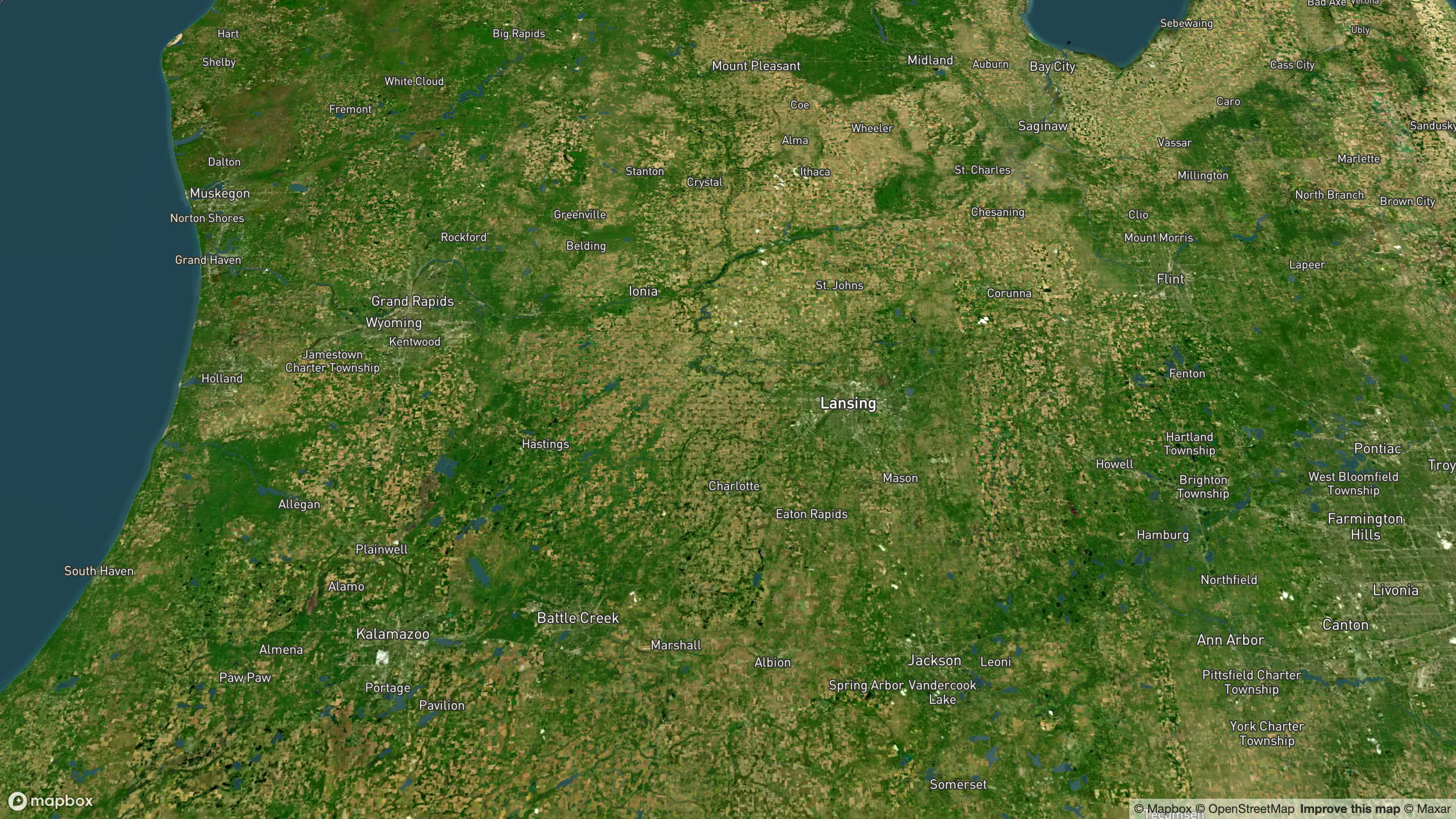 Daylight satellite map of lower Michigan from Grand Haven to Ypsilanti with county and township outlines